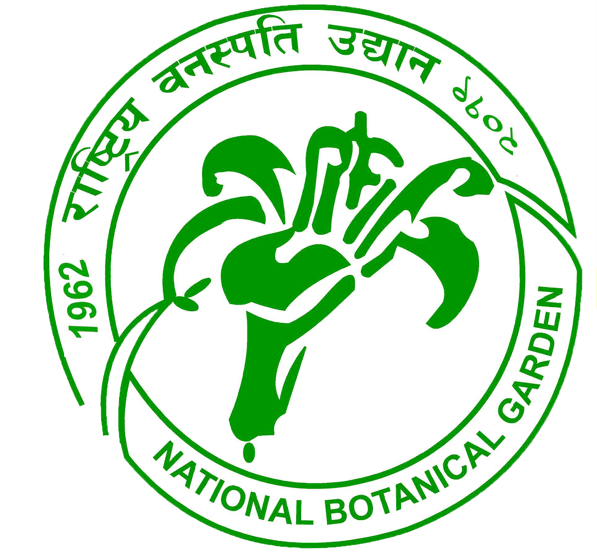 NBG LOGO